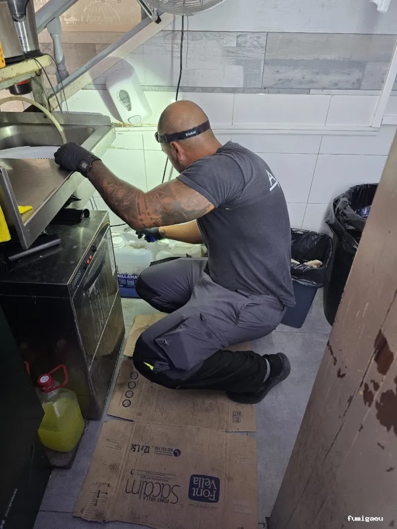 APOLO CONTROL DE PLAGAS, S.L.U