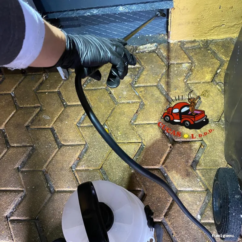 Cucasol DDD - Control de plagas Sevilla