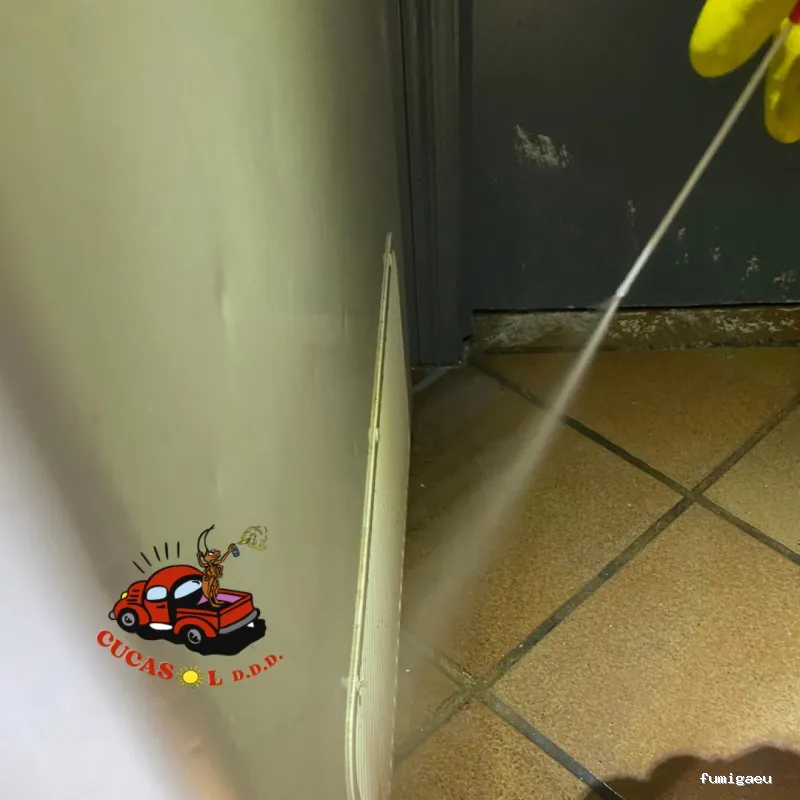 Cucasol DDD - Control de plagas Sevilla