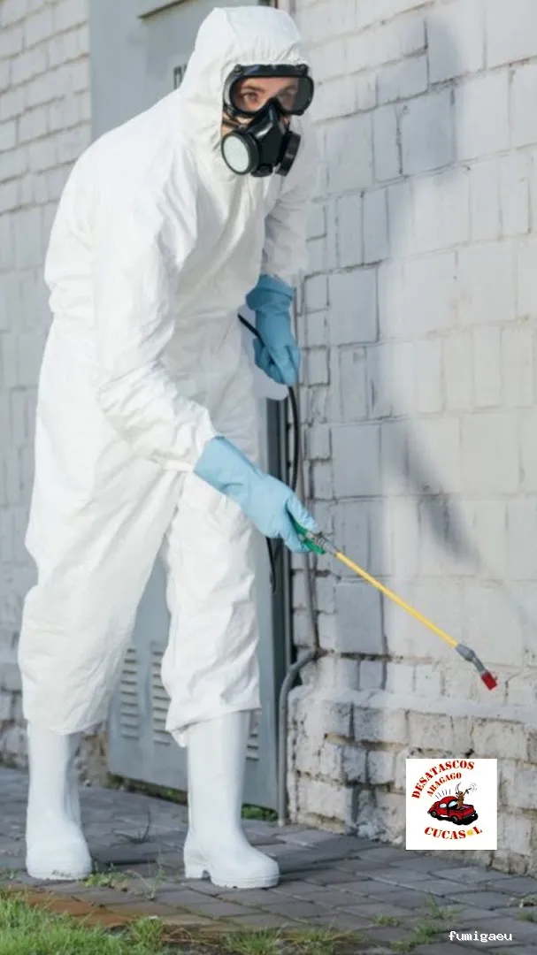 Cucasol DDD - Control de plagas Sevilla