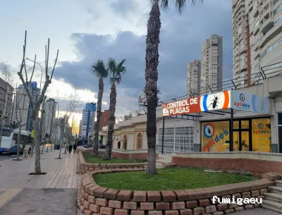 APLIDES CONTROL DE PLAGAS