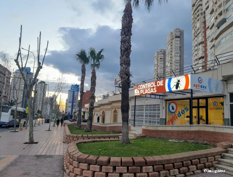 APLIDES CONTROL DE PLAGAS