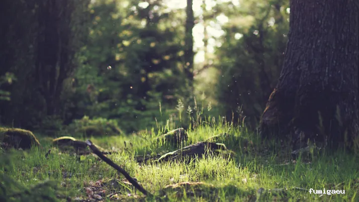 LakuBarro Green SL Servicios Medioambientales