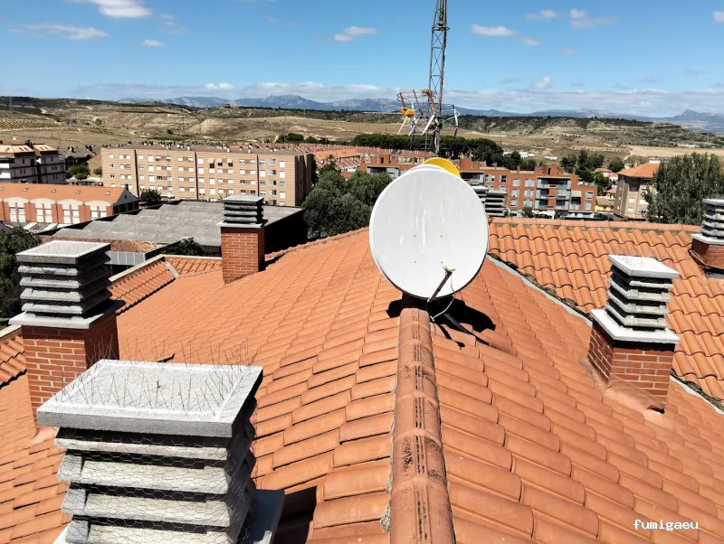 LakuBarro Green SL Servicios Medioambientales