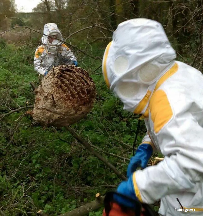 LakuBarro Green SL Servicios Medioambientales