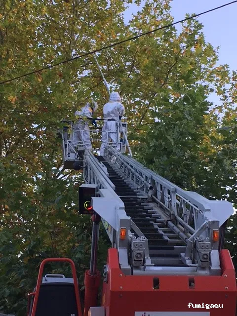 LakuBarro Green SL Servicios Medioambientales