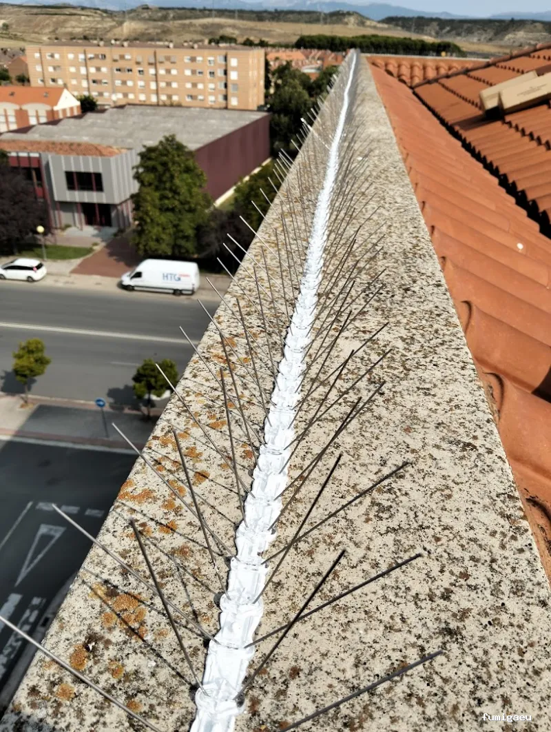 LakuBarro Green SL Servicios Medioambientales