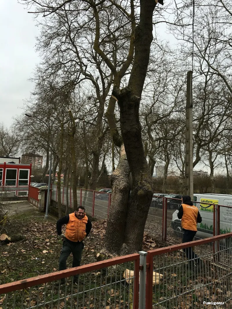 LakuBarro Green SL Servicios Medioambientales