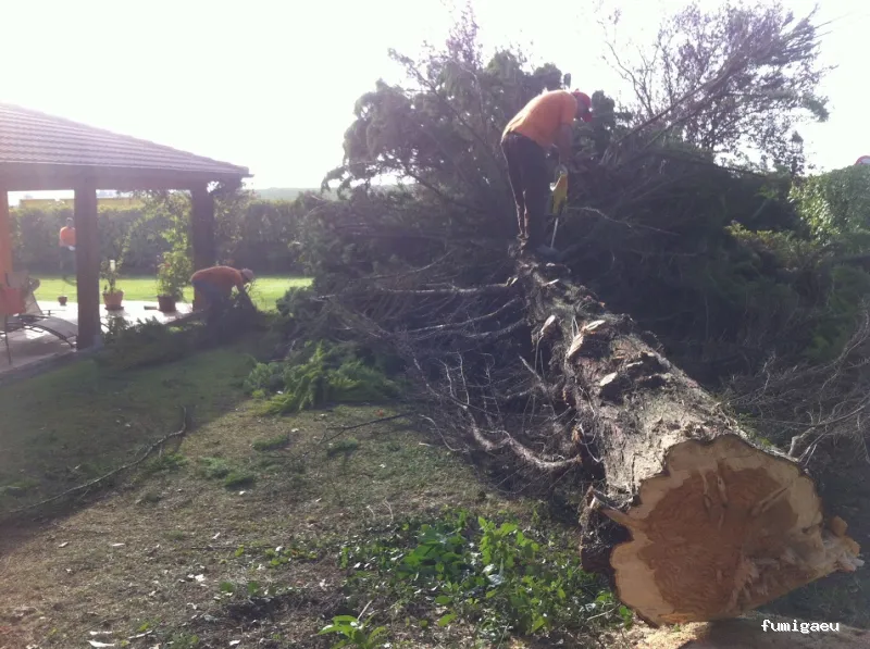 LakuBarro Green SL Servicios Medioambientales