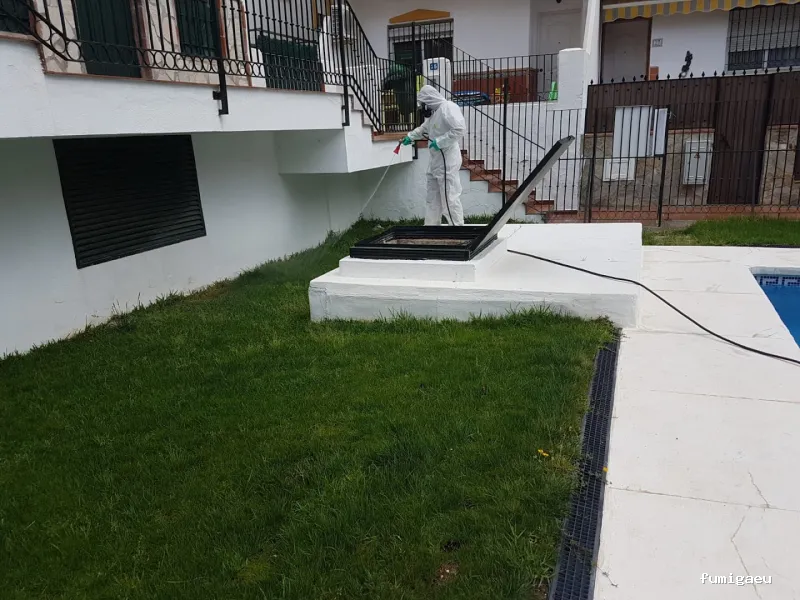 Mantenimalaga Contraplagas Control de Plagas