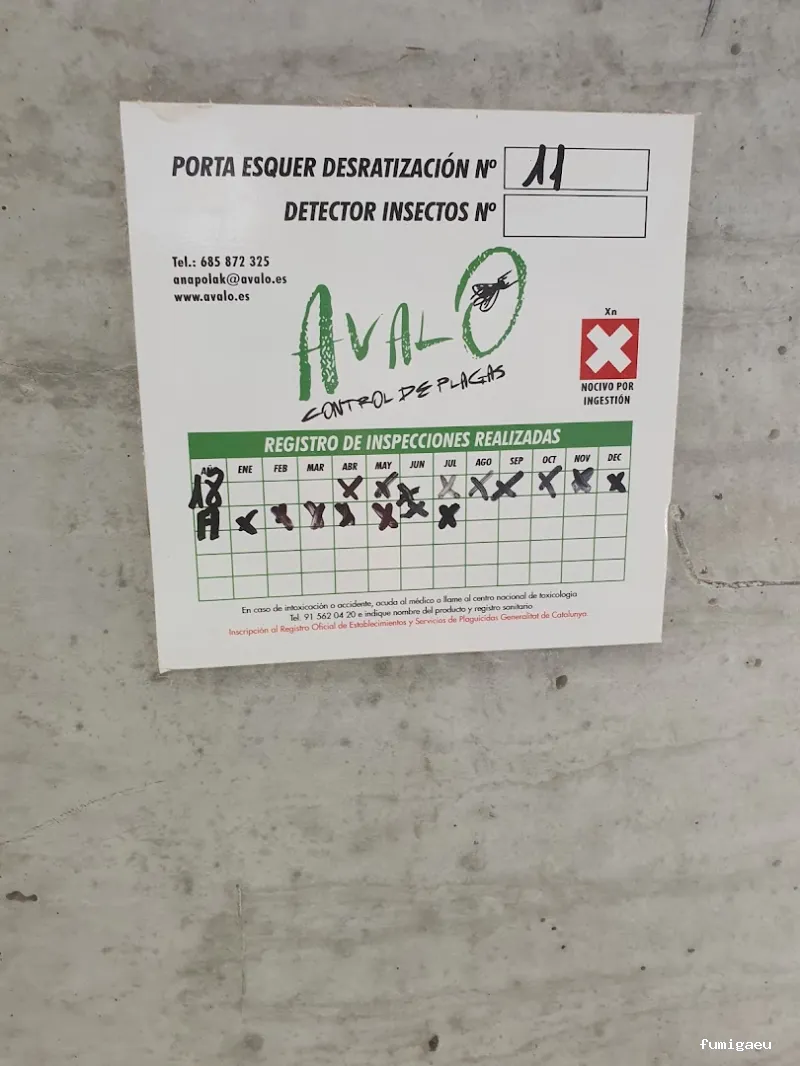 Avalo control de plagas y desinfecciones Lleida