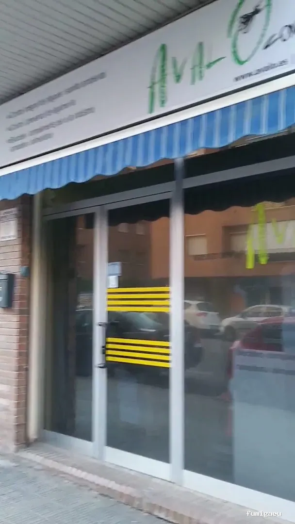 Avalo control de plagas y desinfecciones Lleida