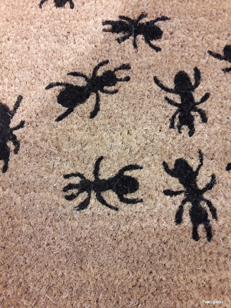 Avalo control de plagas y desinfecciones Lleida