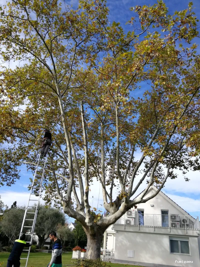 Jardinería Calva, S.L.