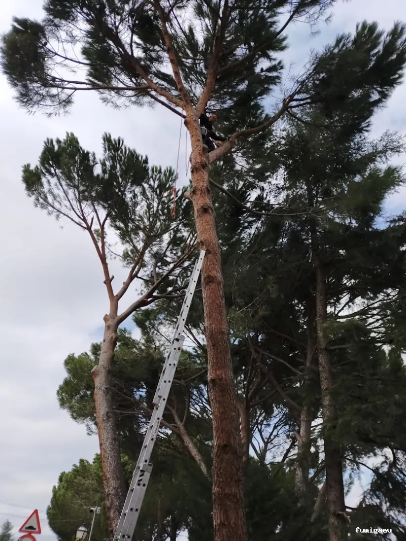 Jardinería Calva, S.L.