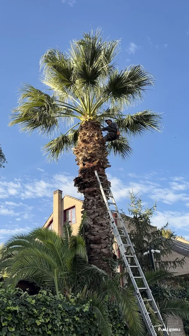 Jardinería Calva, S.L.