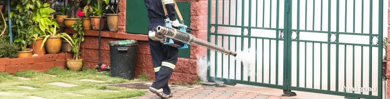 Control de plagas Málaga - HIGISER