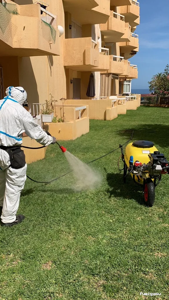 Control de plagas Málaga - HIGISER