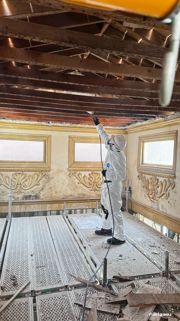 Control de plagas Málaga - HIGISER