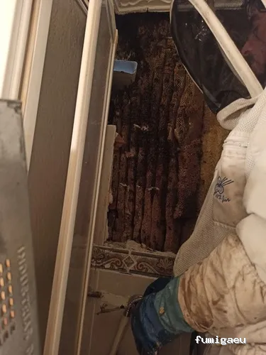 Retirada De Colmenas Madrid