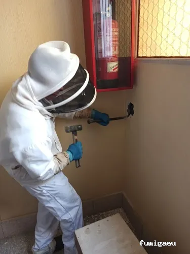 Retirada De Colmenas Madrid