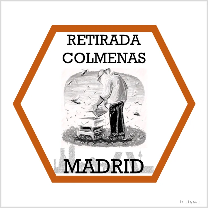 Retirada De Colmenas Madrid