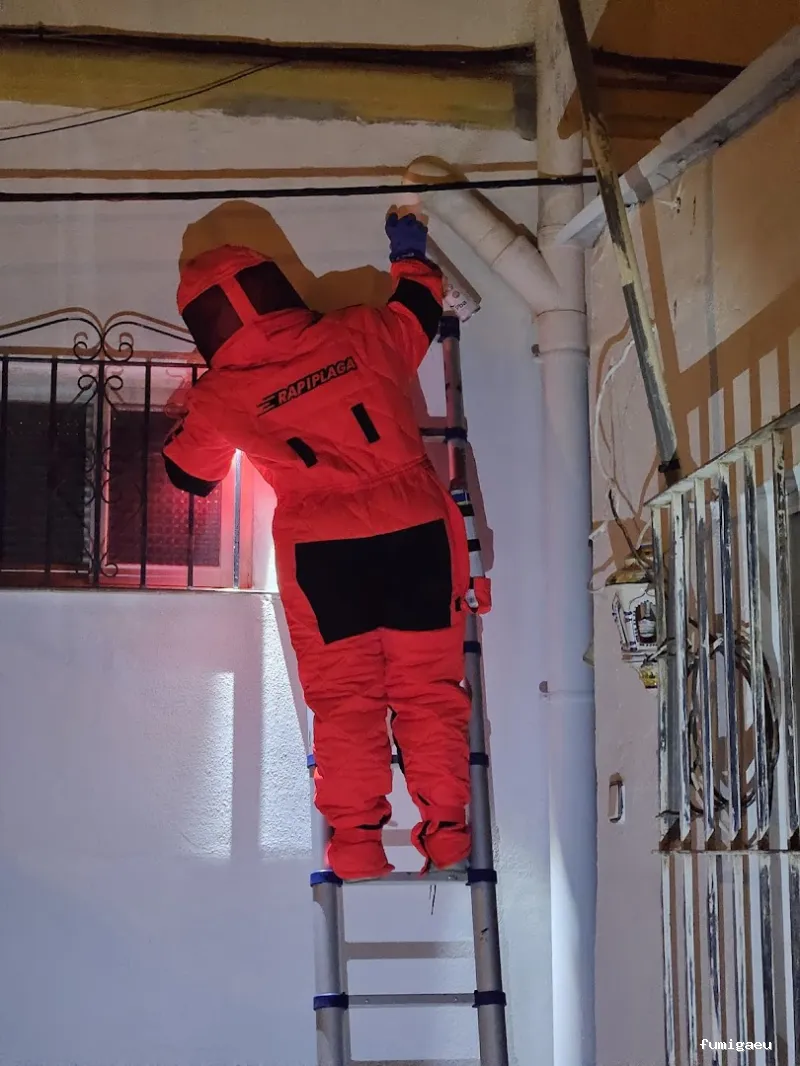 RapiPlaga Control de Plagas Marbella