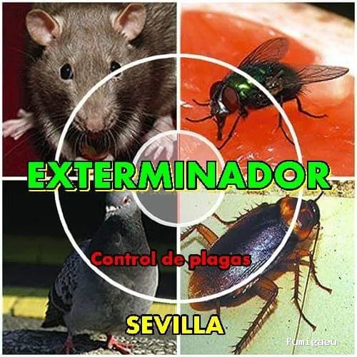 REDESLIMAN services&solutions