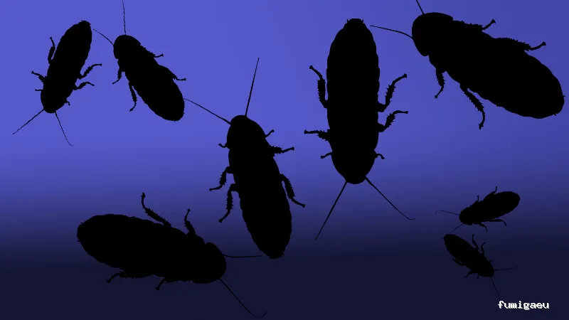 Control de Plagas Aviles Desinfestaciones Rodriguez, S.L.