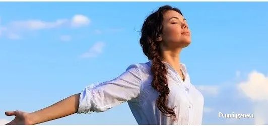 Desinfecciones Exterminator - Control de Plagas Madrid