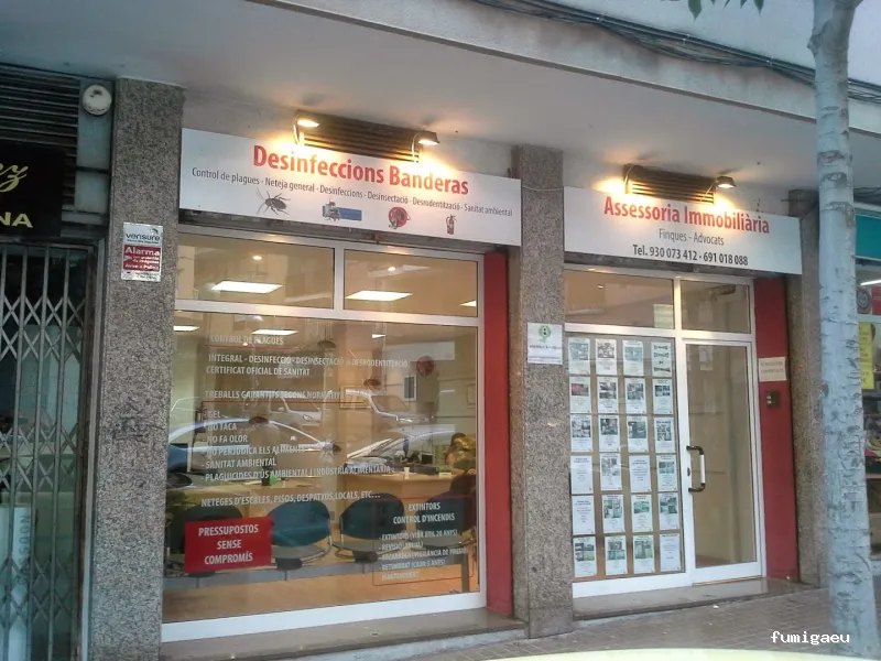 DESINFECCIONES BANDERAS