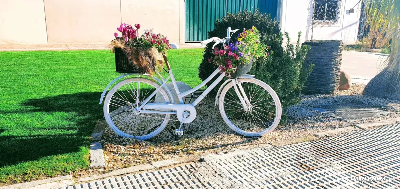 Sol I Vent Paisatges SL