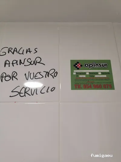 APINSUR SEVILLA S.L.