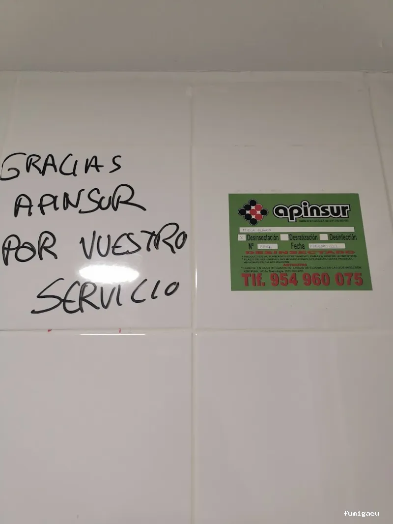 APINSUR SEVILLA S.L.