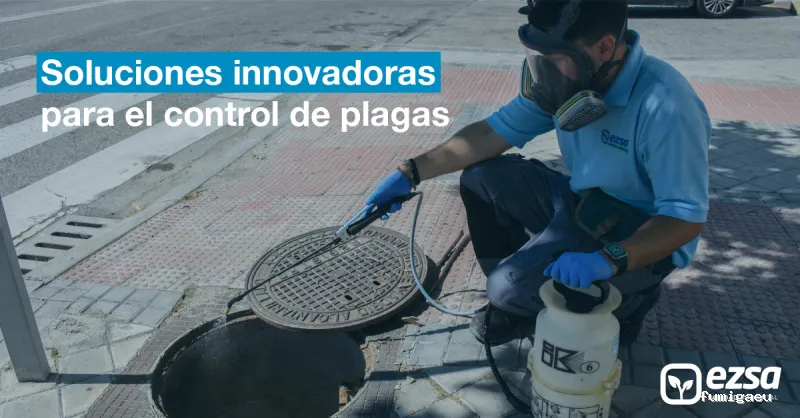 EZSA Sanidad Ambiental - Expertos en Control de Plagas