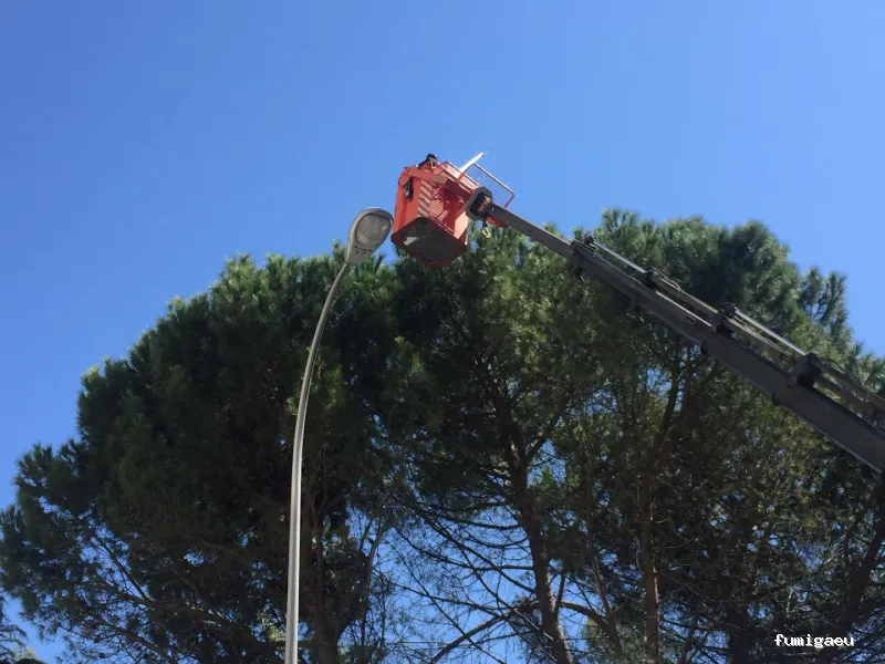 Fumiplagas Control, S.L.