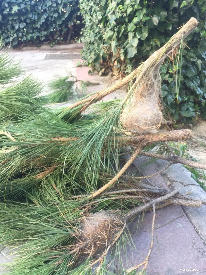 Fumiplagas Control, S.L.