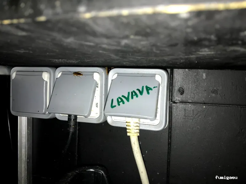 Fumiplagas Control, S.L.