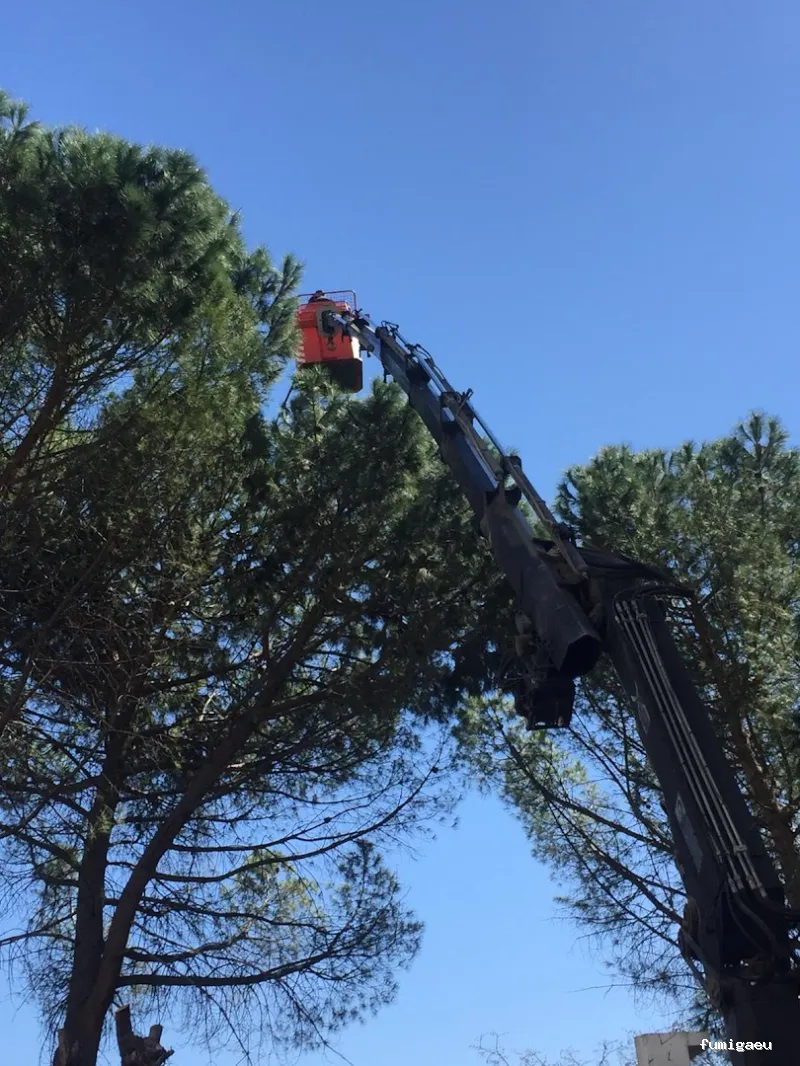 Fumiplagas Control, S.L.