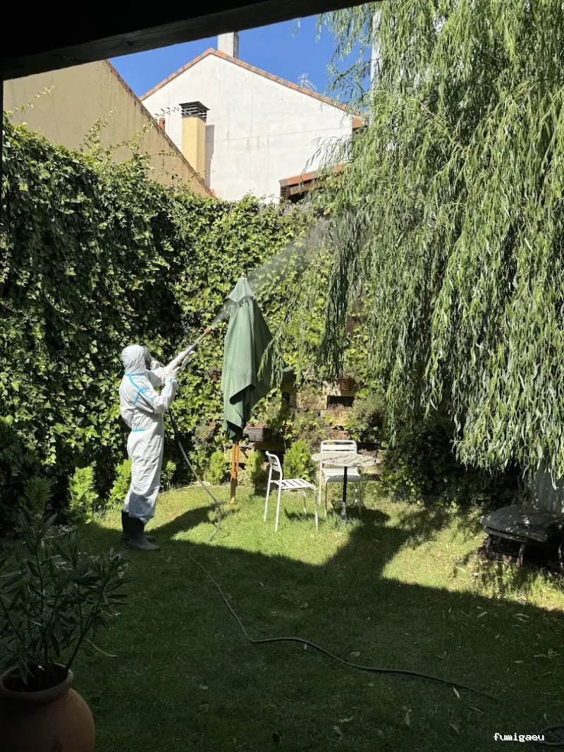 Joviquiye control de plagas S. L