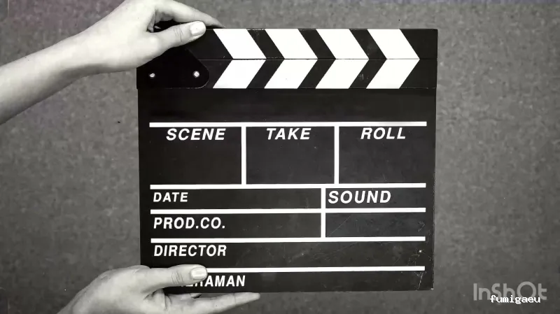 Joviquiye control de plagas S. L