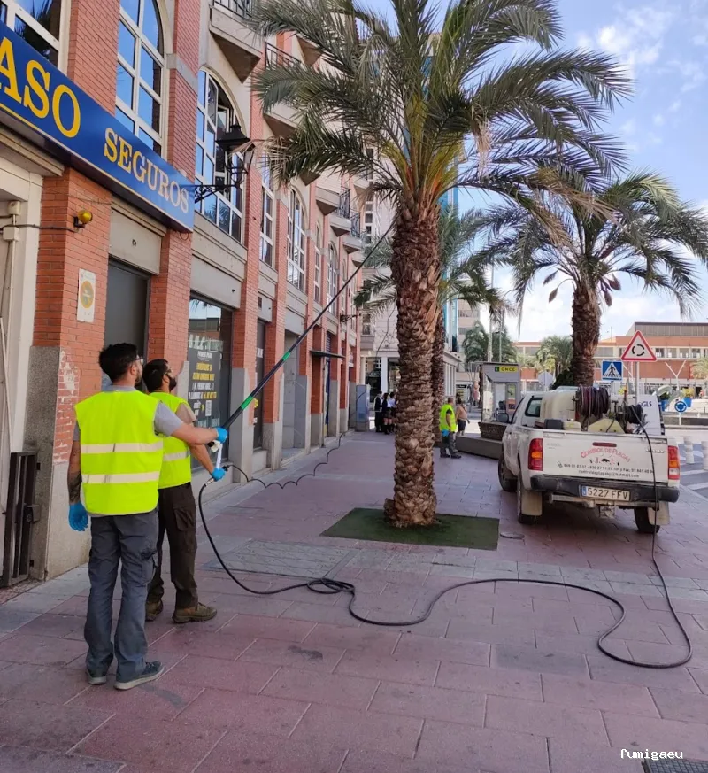 Joviquiye control de plagas S. L