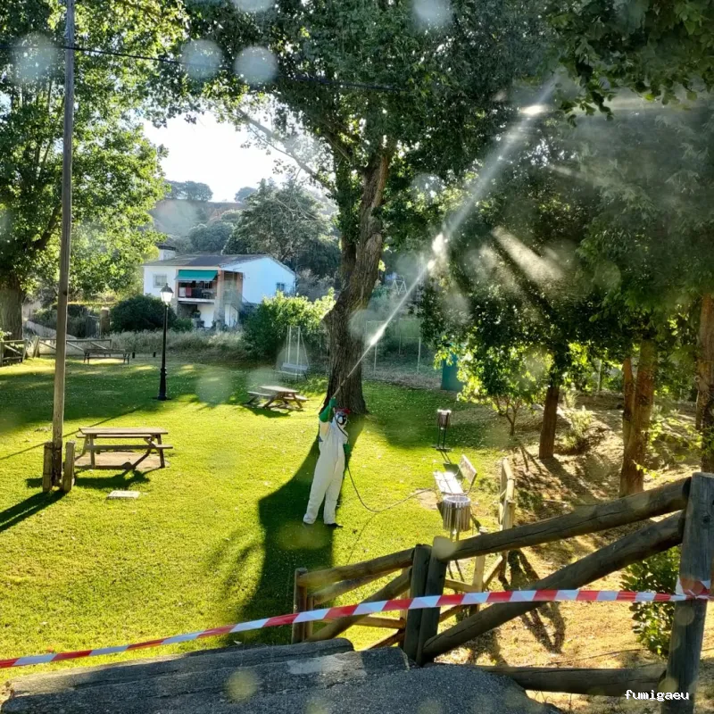 Joviquiye control de plagas S. L