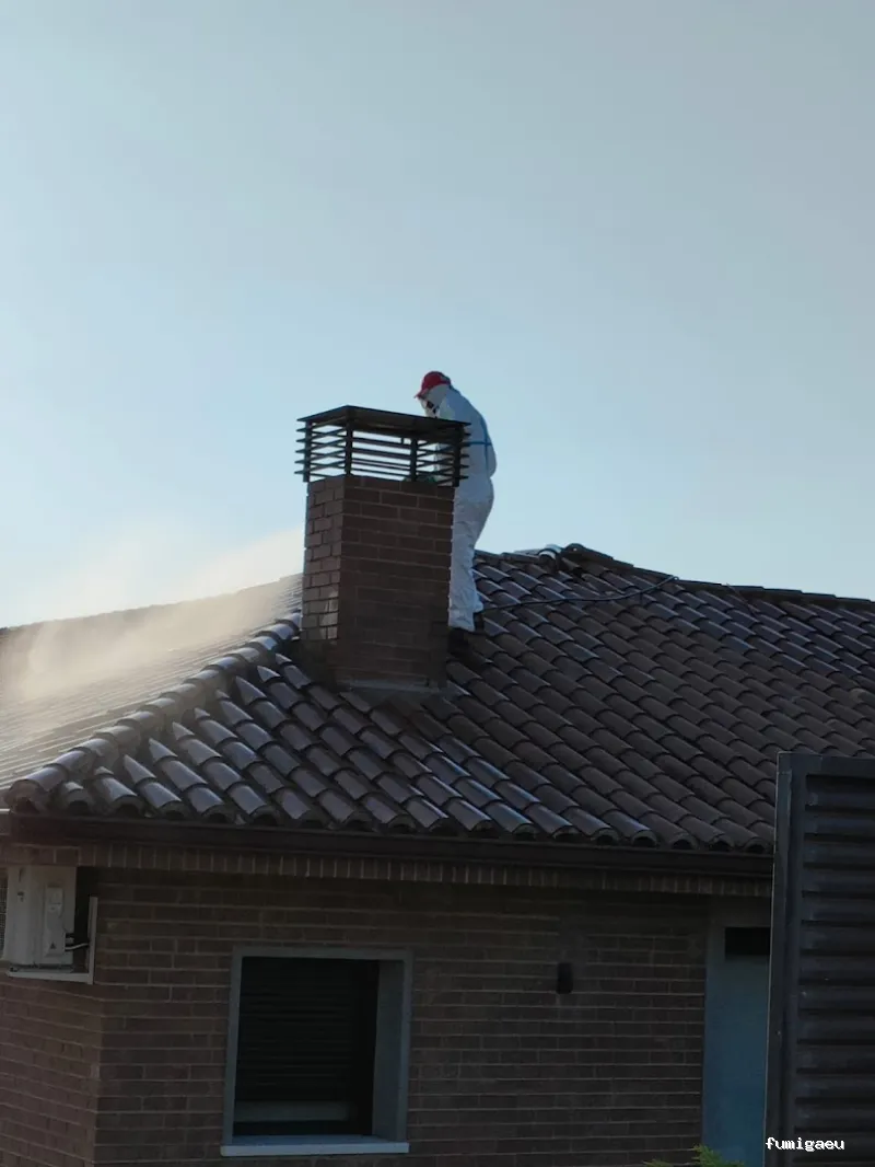 Joviquiye control de plagas S. L