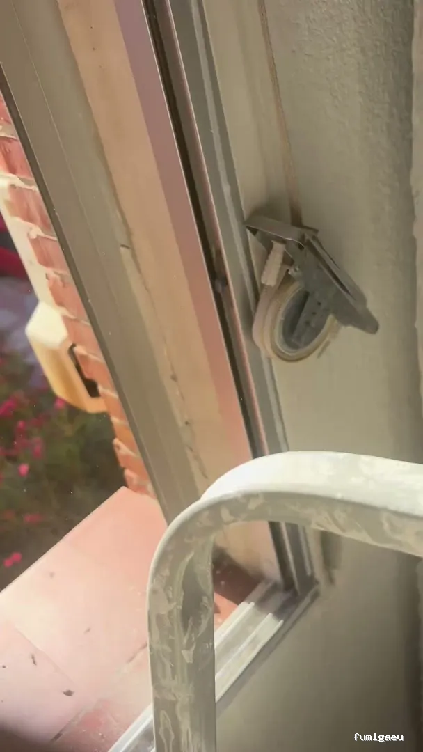 Joviquiye control de plagas S. L