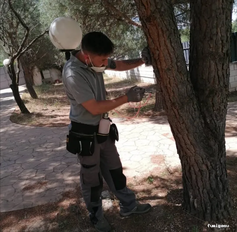 Joviquiye control de plagas S. L