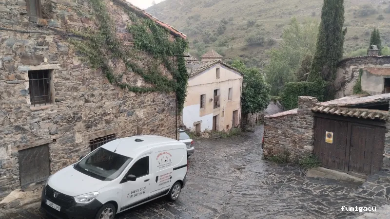 Joviquiye control de plagas S. L