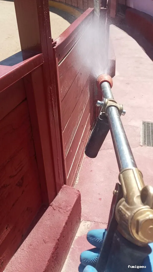 Joviquiye control de plagas S. L