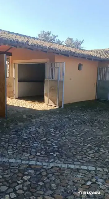 Joviquiye control de plagas S. L