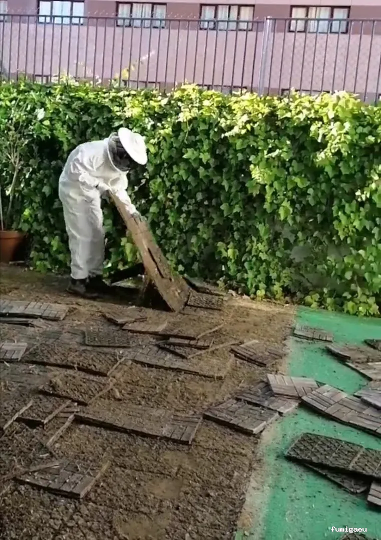 Joviquiye control de plagas S. L